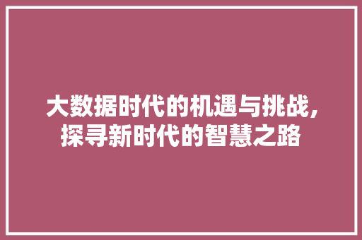 大数据时代的机遇与挑战,探寻新时代的智慧之路