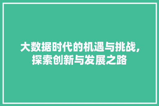 大数据时代的机遇与挑战,探索创新与发展之路