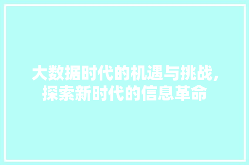 大数据时代的机遇与挑战,探索新时代的信息革命