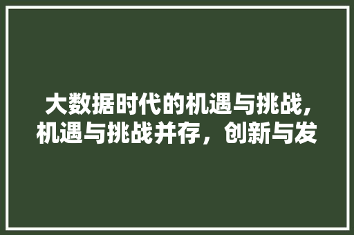 大数据时代的机遇与挑战,机遇与挑战并存，创新与发展并行