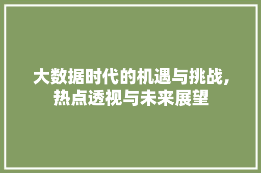 大数据时代的机遇与挑战,热点透视与未来展望