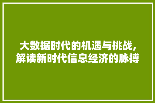 大数据时代的机遇与挑战,解读新时代信息经济的脉搏