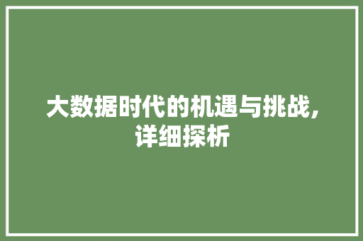 大数据时代的机遇与挑战,详细探析 Node.js