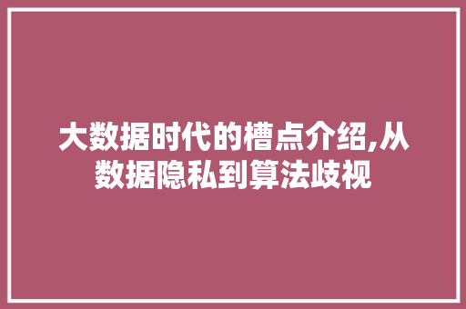 大数据时代的槽点介绍,从数据隐私到算法歧视