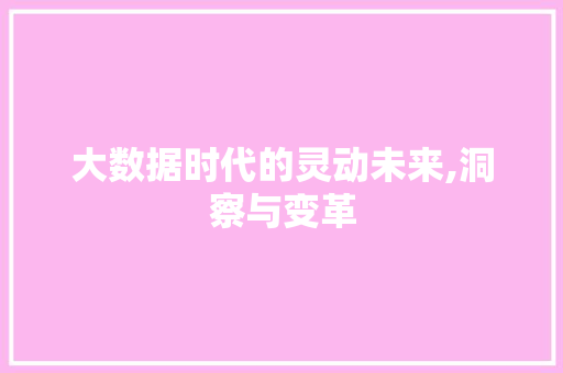 大数据时代的灵动未来,洞察与变革