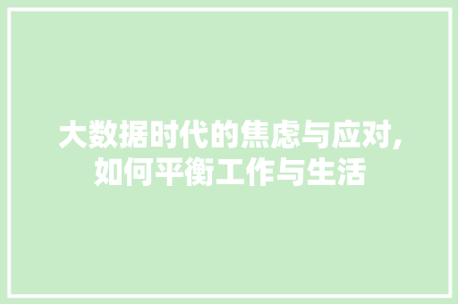 大数据时代的焦虑与应对,如何平衡工作与生活