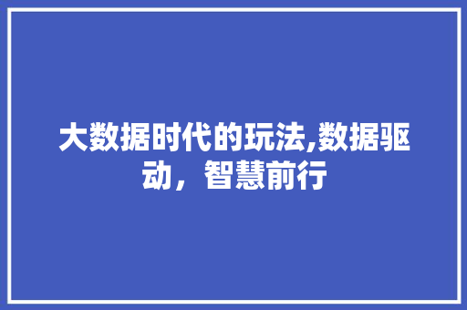 大数据时代的玩法,数据驱动，智慧前行