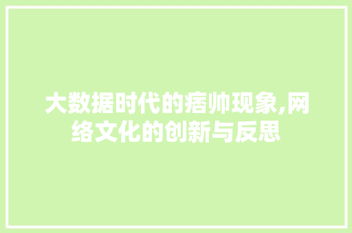 大数据时代的痞帅现象,网络文化的创新与反思