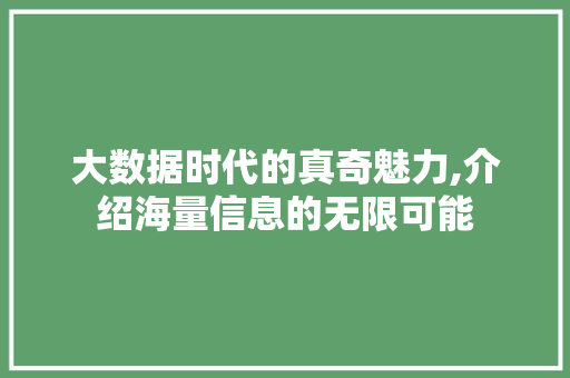 大数据时代的真奇魅力,介绍海量信息的无限可能 Webpack