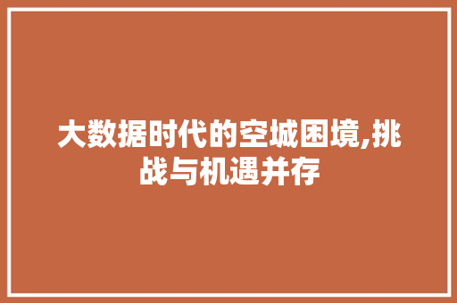 大数据时代的空城困境,挑战与机遇并存