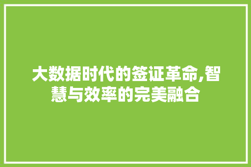 大数据时代的签证革命,智慧与效率的完美融合