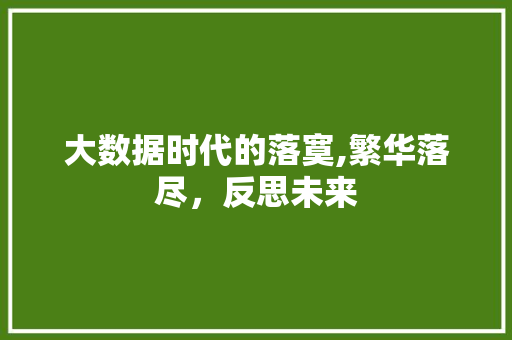 大数据时代的落寞,繁华落尽，反思未来