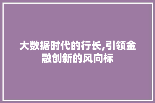 大数据时代的行长,引领金融创新的风向标