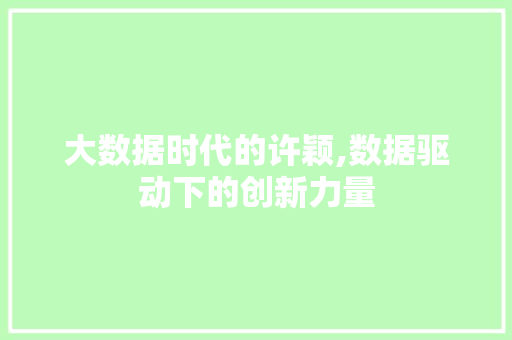 大数据时代的许颖,数据驱动下的创新力量