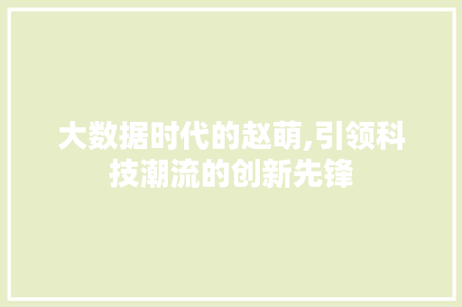 大数据时代的赵萌,引领科技潮流的创新先锋