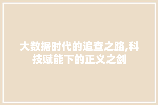 大数据时代的追查之路,科技赋能下的正义之剑