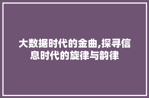 大数据时代的金曲,探寻信息时代的旋律与韵律 Angular