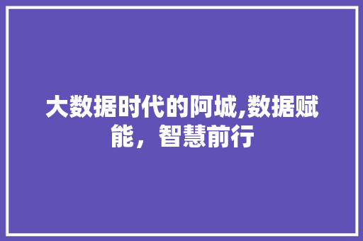 大数据时代的阿城,数据赋能，智慧前行 RESTful API