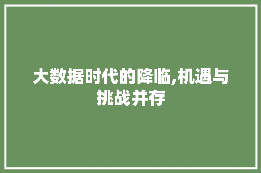 大数据时代的降临,机遇与挑战并存 Python