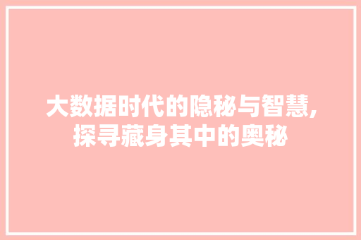 大数据时代的隐秘与智慧,探寻藏身其中的奥秘