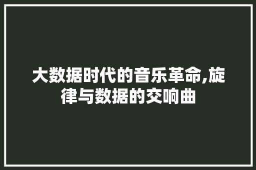 大数据时代的音乐革命,旋律与数据的交响曲