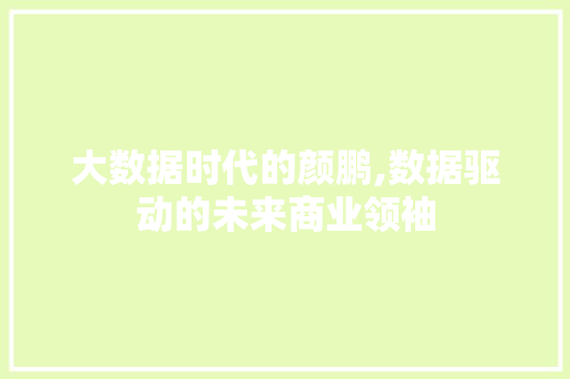 大数据时代的颜鹏,数据驱动的未来商业领袖