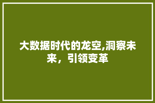 大数据时代的龙空,洞察未来，引领变革 SQL