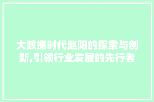 大数据时代赵阳的探索与创新,引领行业发展的先行者 GraphQL