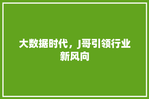 大数据时代，J哥引领行业新风向