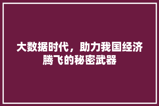 大数据时代，助力我国经济腾飞的秘密武器