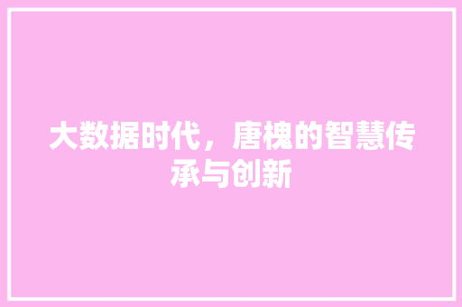 大数据时代，唐槐的智慧传承与创新 PHP