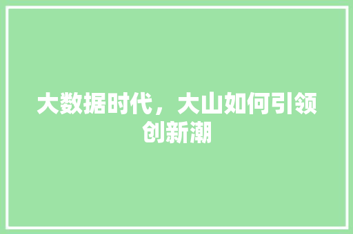 大数据时代，大山如何引领创新潮