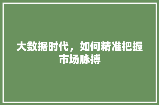 大数据时代，如何精准把握市场脉搏