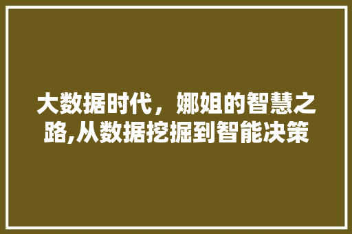 大数据时代，娜姐的智慧之路,从数据挖掘到智能决策 Bootstrap