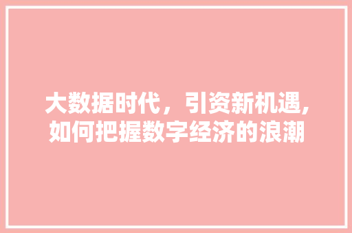 大数据时代，引资新机遇,如何把握数字经济的浪潮