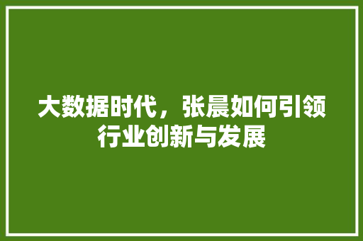 大数据时代，张晨如何引领行业创新与发展 JavaScript