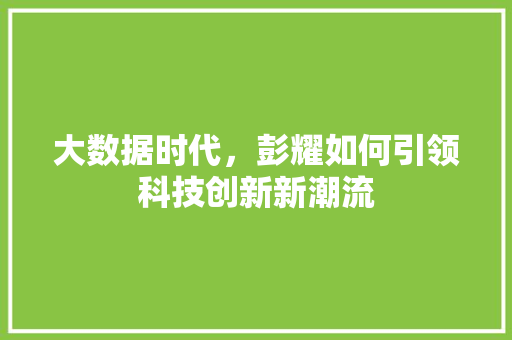 大数据时代，彭耀如何引领科技创新新潮流