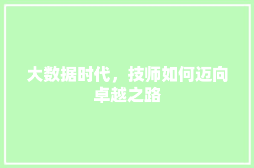 大数据时代，技师如何迈向卓越之路