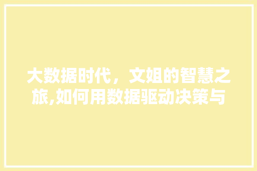 大数据时代，文姐的智慧之旅,如何用数据驱动决策与变革