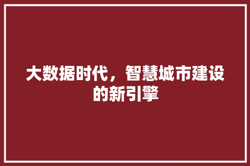 大数据时代，智慧城市建设的新引擎