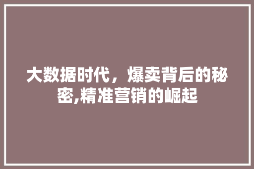 大数据时代，爆卖背后的秘密,精准营销的崛起