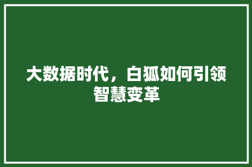 大数据时代，白狐如何引领智慧变革 SQL