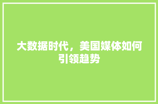 大数据时代，美国媒体如何引领趋势 Python