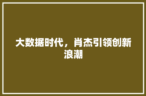 大数据时代，肖杰引领创新浪潮