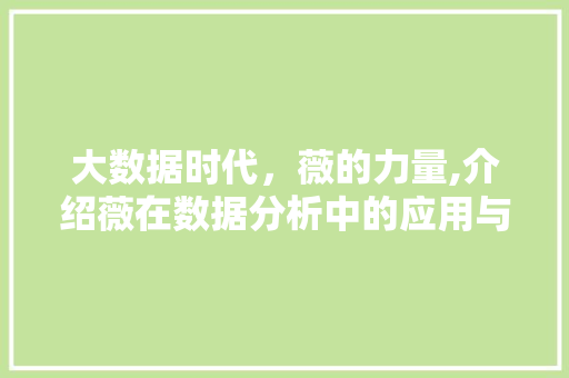 大数据时代，薇的力量,介绍薇在数据分析中的应用与价值 GraphQL