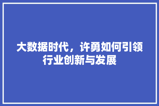 大数据时代，许勇如何引领行业创新与发展 Vue.js