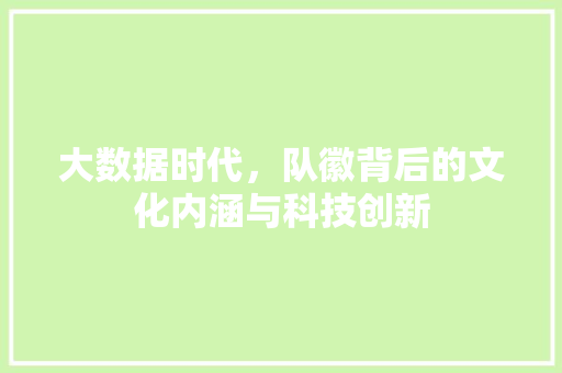 大数据时代，队徽背后的文化内涵与科技创新