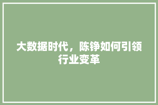 大数据时代，陈铮如何引领行业变革