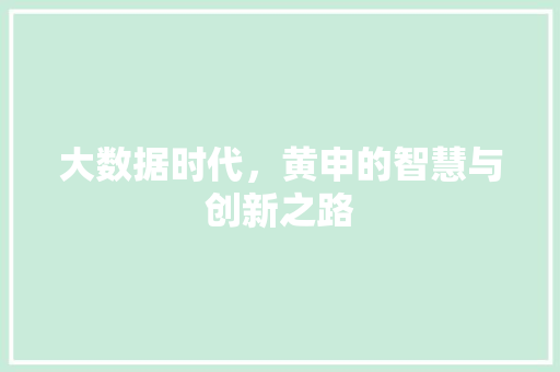 大数据时代，黄申的智慧与创新之路