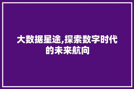 大数据星途,探索数字时代的未来航向 Angular